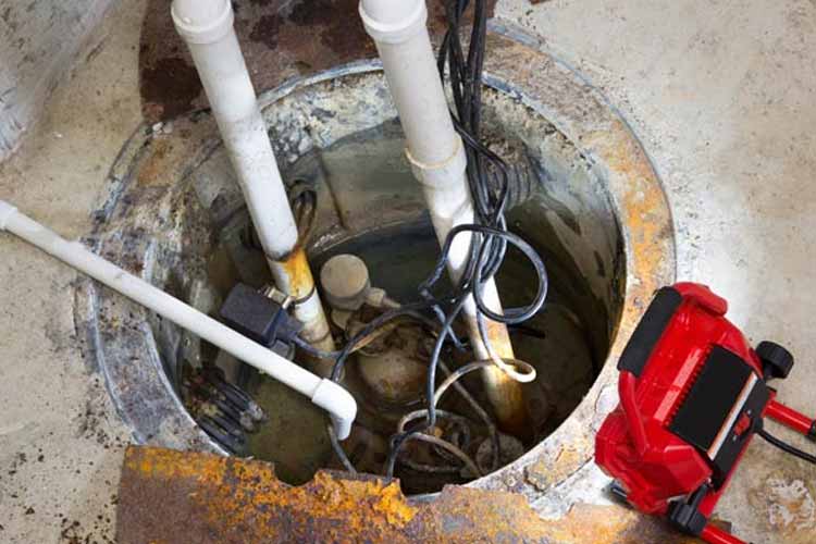 fallen-tree-ontop-of-roof