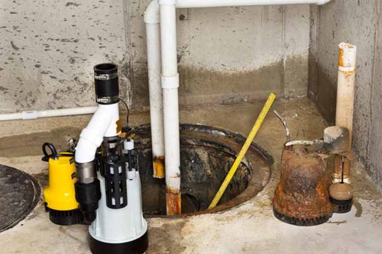 fallen-tree-ontop-of-roof