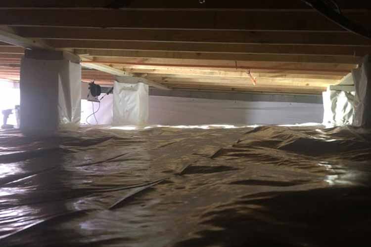 fallen-tree-ontop-of-roof