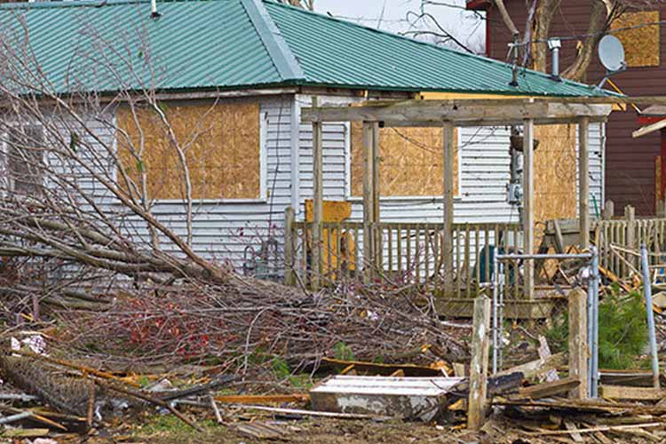 fallen-tree-on-house