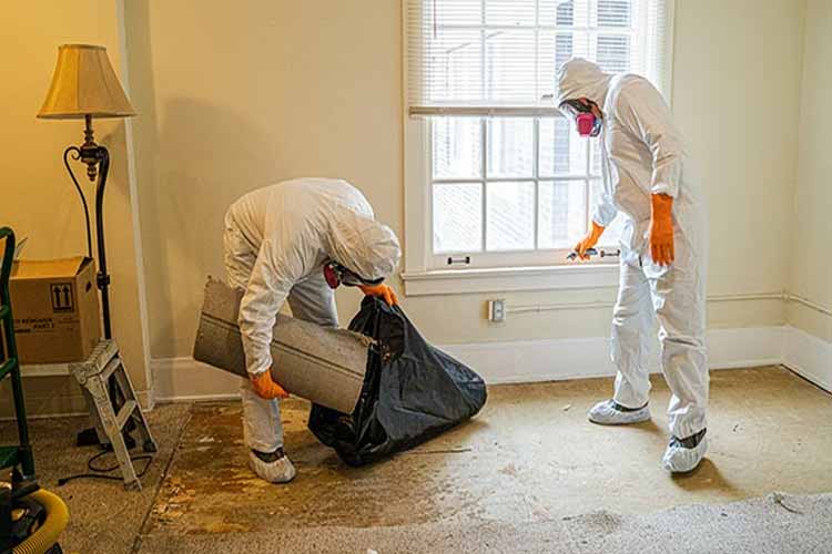 white-jump-suits-cleaning