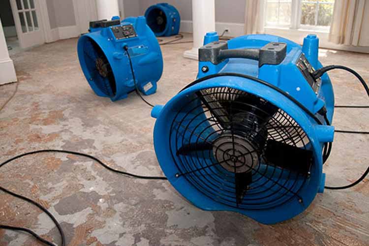 blue-floor-fans
